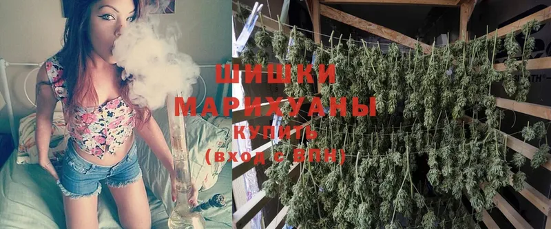 МЕГА онион  Касимов  Шишки марихуана THC 21% 